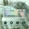 image:imageRedragon Anime Gaming Keyboard and Mouse Combo K719 PRO 95Key Wireless Gasket Mechanical Keyboard w114 TFT Screen amp Knob  M612AK PRO 8000 DPI Mouse w9 Programmable Buttons 3Mode BundleJade Cloud