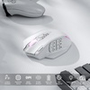image:imageRedragon M913 MAX Wireless MMO Gaming Mouse 26000 DPI Remapping Keys  CableFree 0 Delay Smooth Precise Tracking Redefine Keybinding Macro Vibing Backlight Ergonomic Grip Body ComfortWhite
