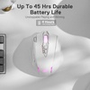 image:imageRedragon M913 MAX Wireless MMO Gaming Mouse 26000 DPI Remapping Keys  CableFree 0 Delay Smooth Precise Tracking Redefine Keybinding Macro Vibing Backlight Ergonomic Grip Body ComfortWhite
